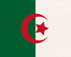 Cezayir 